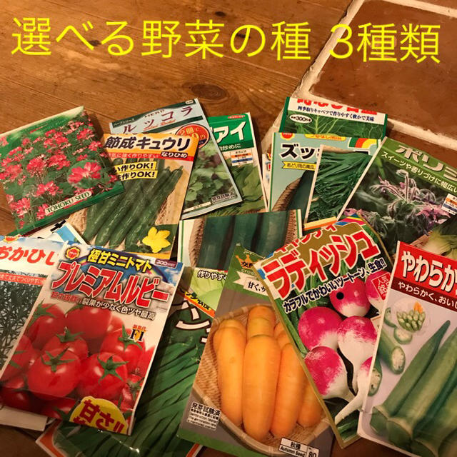 piyopiyo様  野菜の種 3種類 食品/飲料/酒の食品(野菜)の商品写真