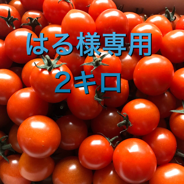 はる様専用♡5/5発送♡ 新鮮 ミニトマト2キロ fWsjEELAW5 - www