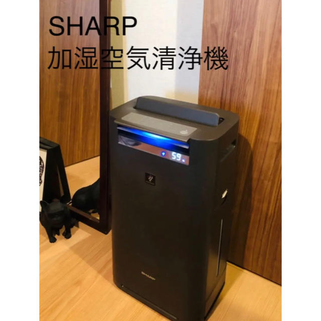 <美品> SHARP 加湿空気清浄機 グレー系 KI-HS50-H