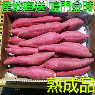 佐川農園☆訳ありサイズ2S→15本以上入り 全国送料無料☆鳴門金時☆さつまいも(野菜)