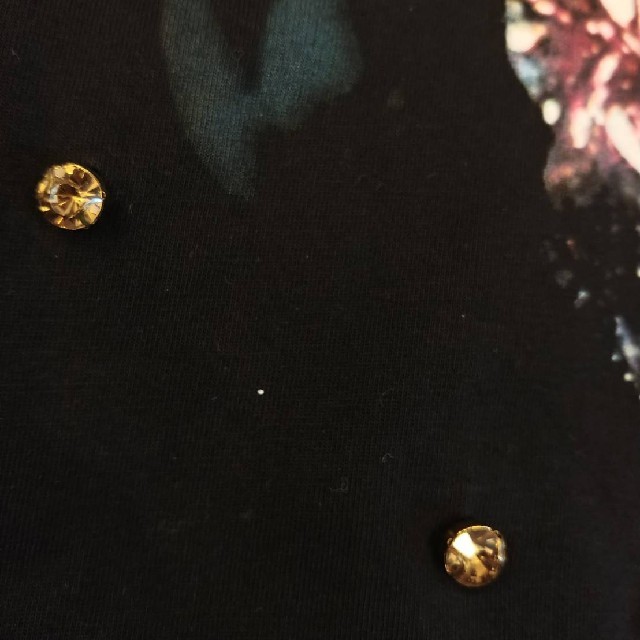 GIVENCHY(ジバンシィ)のGivenchy ジバンシー ロットワイラー　Tシャツ　S 犬　クリスタル　黒 レディースのトップス(Tシャツ(半袖/袖なし))の商品写真