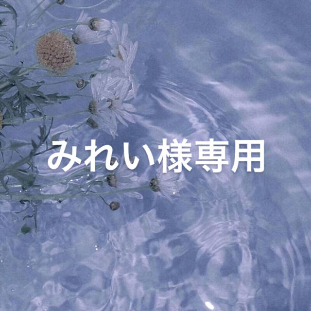 みれい様 専用 karatebih.ba