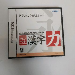 ニンテンドーDS(ニンテンドーDS)のみんなのDSゼミナール カンペキ漢字力 DS(携帯用ゲームソフト)