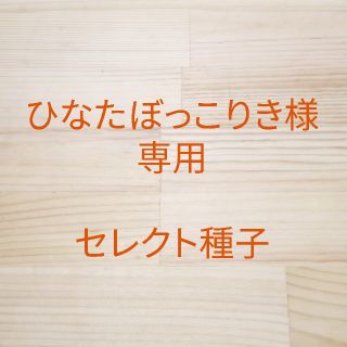 ひなたぼっこりき様専用　セレクト種子　5袋(野菜)