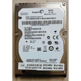 Seagete 2.5インチ HDD 250GB S-ATA (PCパーツ)