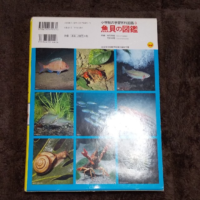 小学館(ショウガクカン)の魚貝図鑑 エンタメ/ホビーの本(絵本/児童書)の商品写真