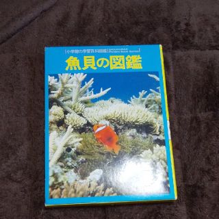 ショウガクカン(小学館)の魚貝図鑑(絵本/児童書)