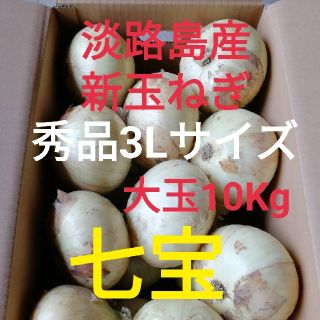 七宝○秀品大玉10Kg○淡路島　新玉ねぎ　玉葱(野菜)