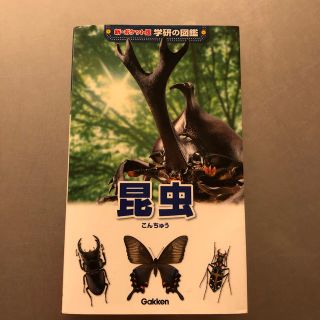 ガッケン(学研)のはなココ様専用　昆虫増補改訂版(絵本/児童書)