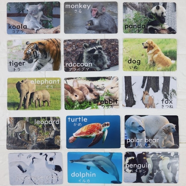 英単語学習カード 動物編 の通販 By ライリー S Shop ラクマ 英単語学習カード 動物編 の通販 By ライリー S Shop ラクマ