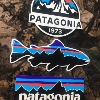 パタゴニア(patagonia)の★最安★新品未使用　パタゴニア　フィッツロイ柄ステッカー　3枚セット(その他)