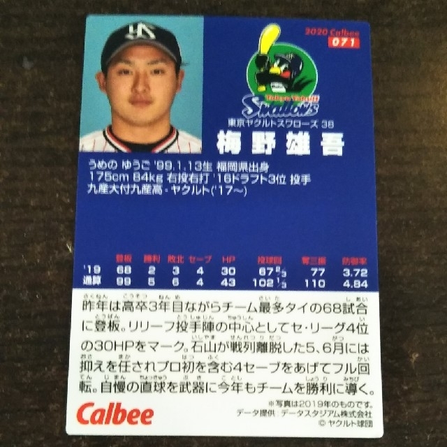 東京ヤクルトスワローズ(トウキョウヤクルトスワローズ)の梅野雄吾　東京ヤクルトスワローズ エンタメ/ホビーのタレントグッズ(スポーツ選手)の商品写真