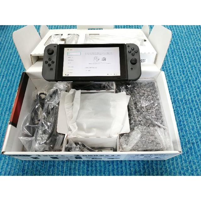 Nintendo Switch JOY-CON グレー 本体  HAC-S-KA