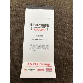 USMH　株主優待100円券 14枚 (1,400円分) 6/30まで有効(ショッピング)