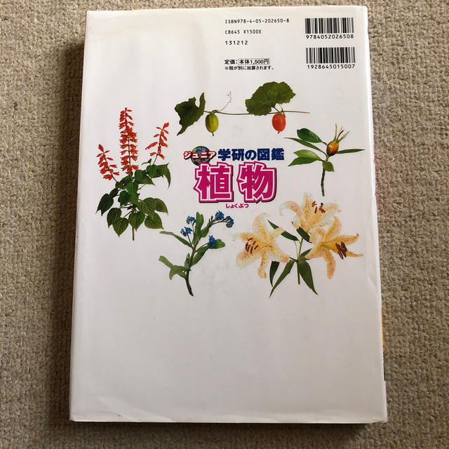 ジュニア学研の図鑑「植物」 エンタメ/ホビーの本(絵本/児童書)の商品写真