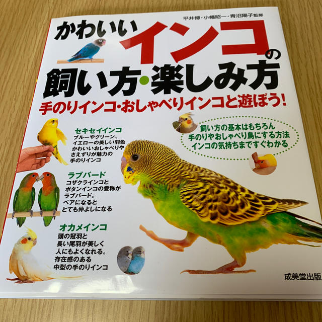 かわいいインコの飼い方 楽しみ方の通販 By Excia S Shop ラクマ かわいいインコの飼い方 楽しみ方の通販 By Excia S Shop ラクマ