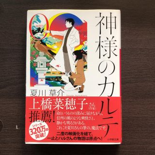 神様のカルテ0(文学/小説)