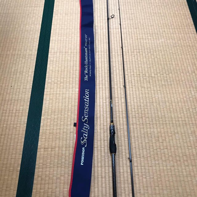 ショップジャパン ソルティーセンセーション PSSS-82T ロッキー