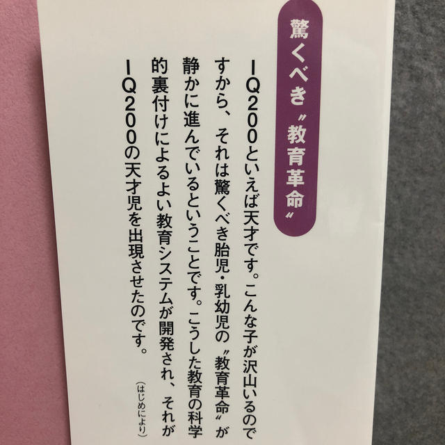 IQ200天才児は母親しだい! キッズ/ベビー/マタニティのキッズ/ベビー/マタニティ その他(その他)の商品写真