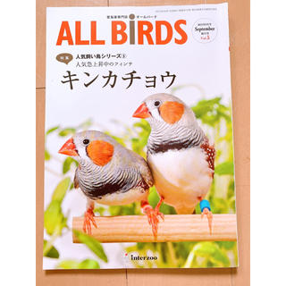 ALL BIRDS 愛鳥家専門誌 オールバード(鳥)