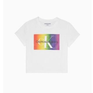 カルバンクライン(Calvin Klein)のカルバンクライン CK Tシャツ(Tシャツ(半袖/袖なし))