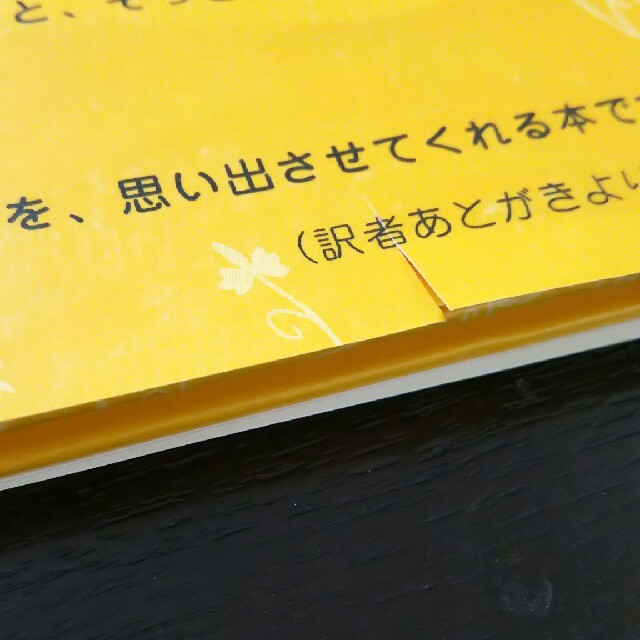 講談社(コウダンシャ)の【中古品】たいせつなあなたへ あなたがうまれるまでのこと エンタメ/ホビーの本(絵本/児童書)の商品写真