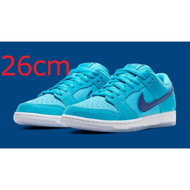 NIKE SB DUNK LOW PRO BLUE FURY 26cm