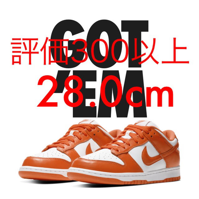 28.0cm NIKE DUNK LOW SP SYRACUSE - スニーカー