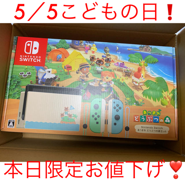 Nintendo Switch - 【17時まで即日発送】任天堂　Switch どうぶつの森セット　新品未開封品