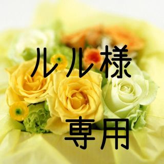 ルル様専用　お米　令和元年　愛媛県産ヒノヒカリ　玄米　20㎏(米/穀物)