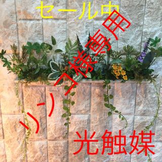 光触媒 人工観葉植物 抗菌消臭 ウォールグリーン(壁掛けミラー)