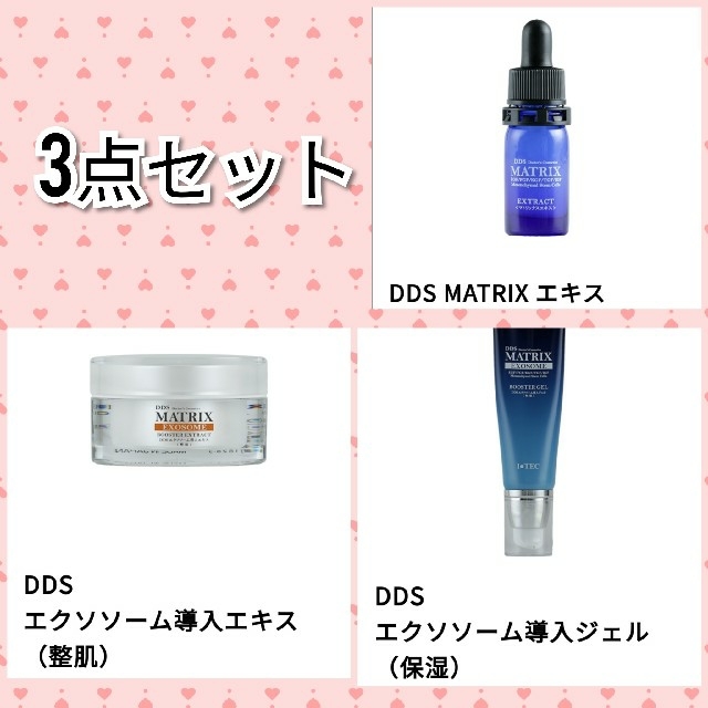 DDSマトリックスエクソソーム 導入ジェル(保湿) 45g 2個セット