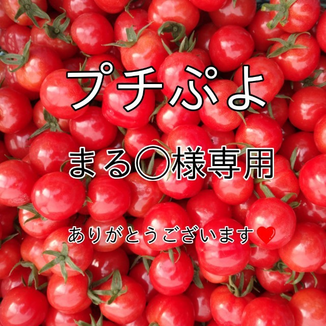 宝石のような煌めきを放つプチぷよ3㎏バラ★040