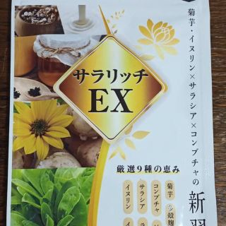 サラリッチEX(その他)