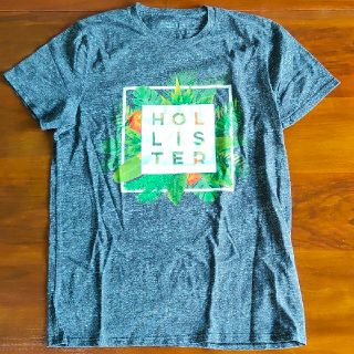 ホリスター(Hollister)のHollister Tシャツ ホリスター(Tシャツ/カットソー(半袖/袖なし))