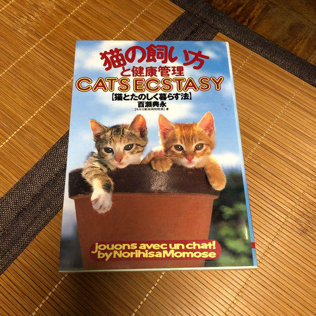 猫の飼い方と健康管理 猫とたのしく暮らす法 エンタメ/ホビーの本(住まい/暮らし/子育て)の商品写真