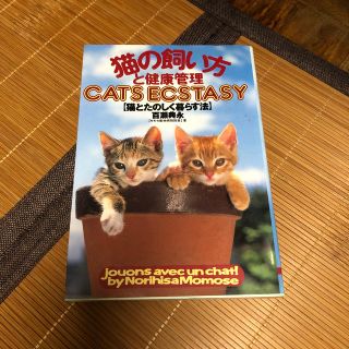 猫の飼い方と健康管理 猫とたのしく暮らす法(住まい/暮らし/子育て)