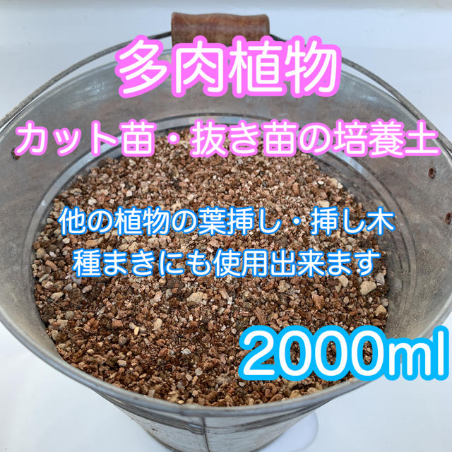 多肉植物の土 サボテンの土 多肉植物用土 2000ml ハンドメイドのフラワー/ガーデン(その他)の商品写真