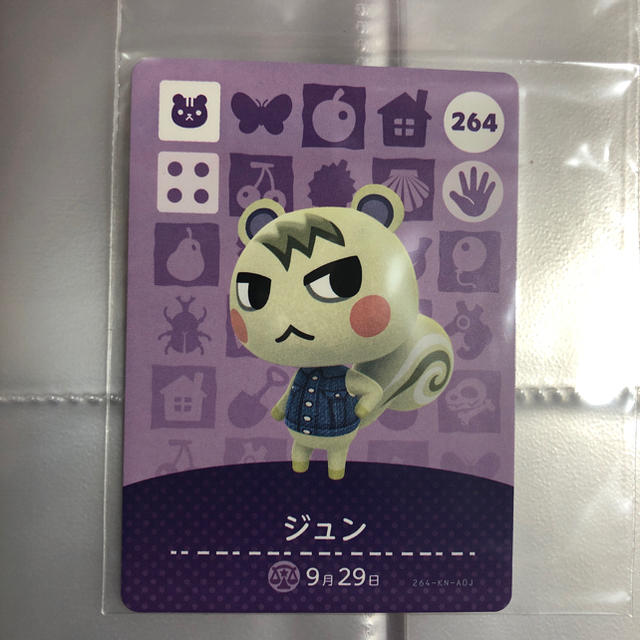 Nintendo Switch(ニンテンドースイッチ)のamiibo カード ジュン 【まとめ買い可能】 エンタメ/ホビーのトレーディングカード(その他)の商品写真