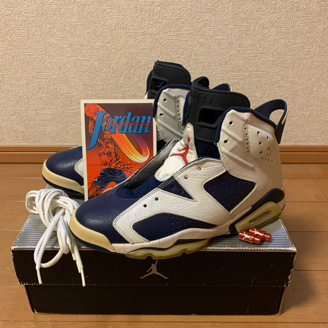 NIKE(ナイキ)のNIKE AIR JORDAN6 RETRO＋ エアジョーダン6レトロ 27cm メンズの靴/シューズ(スニーカー)の商品写真