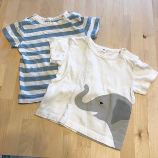 ムジルシリョウヒン(MUJI (無印良品))のかすか様専用　無印良品半袖Tシャツ 80 ボーダー&ゾウ　2枚セット(Ｔシャツ)