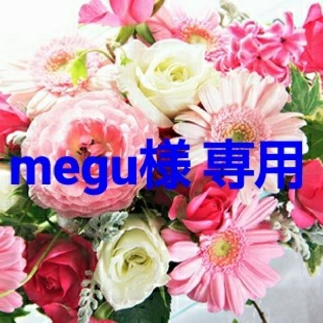 megu様 専用ページです。 www.uig.sanjuandelrio.gob.mx