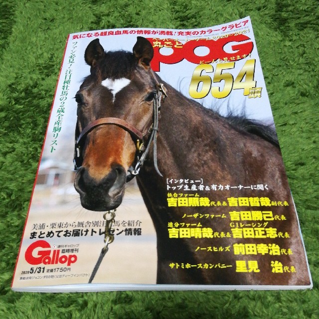 Gallop　丸ごとPOG　2020〜2021 エンタメ/ホビーの雑誌(趣味/スポーツ)の商品写真
