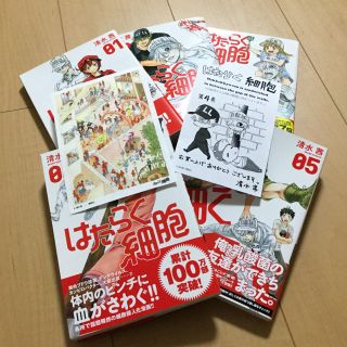 コウダンシャ(講談社)のはたらく細胞　1〜5巻　特典ペーパー付き(全巻セット)