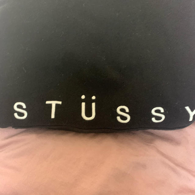 STUSSY(ステューシー)のSTUSSY パーカー フーディー メンズのトップス(パーカー)の商品写真