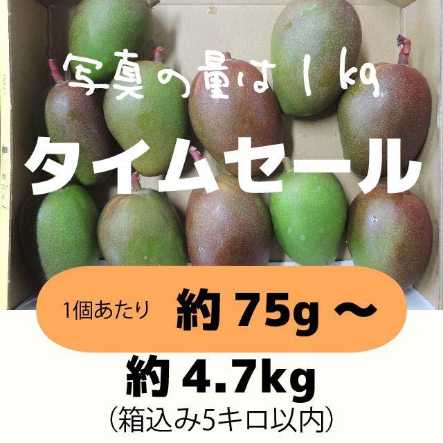 ［セール：橙5］約4.7キロ　グリーンマンゴー 青マンゴー　加工用　マンゴー 食品/飲料/酒の食品(フルーツ)の商品写真