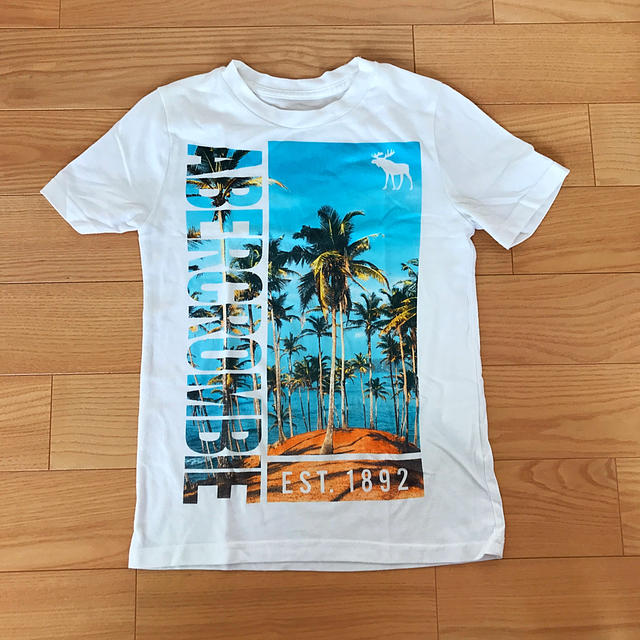 Abercrombie&Fitch(アバクロンビーアンドフィッチ)のmimiko様専用 キッズ/ベビー/マタニティのキッズ服男の子用(90cm~)(Tシャツ/カットソー)の商品写真