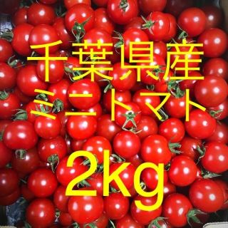 ミニトマト2kg(野菜)