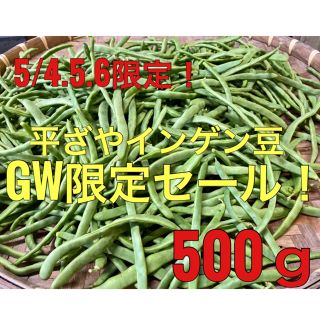 GW限定セール！沖縄産 平ざやインゲン豆 無農薬 500g   (野菜)