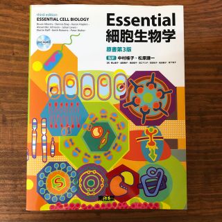 Ｅｓｓｅｎｔｉａｌ細胞生物学 原書第３版(その他)